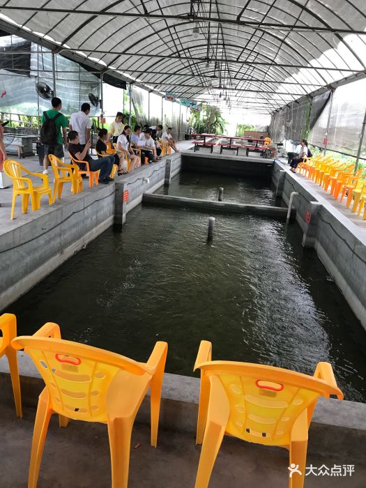 南浦烧烤场钓虾钓蟹草莓生态农庄图片 - 第51张