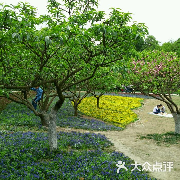 成都植物园