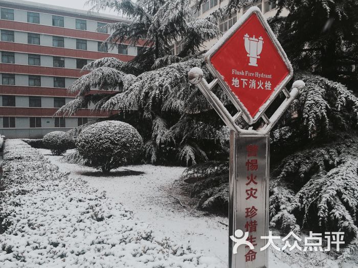 占国牛肉面(会宁路店)-图片-兰州美食-大众点评