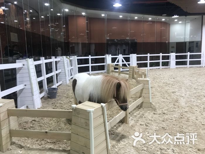 端午小长假第一天决定去苏州,中午吃完饭朋.