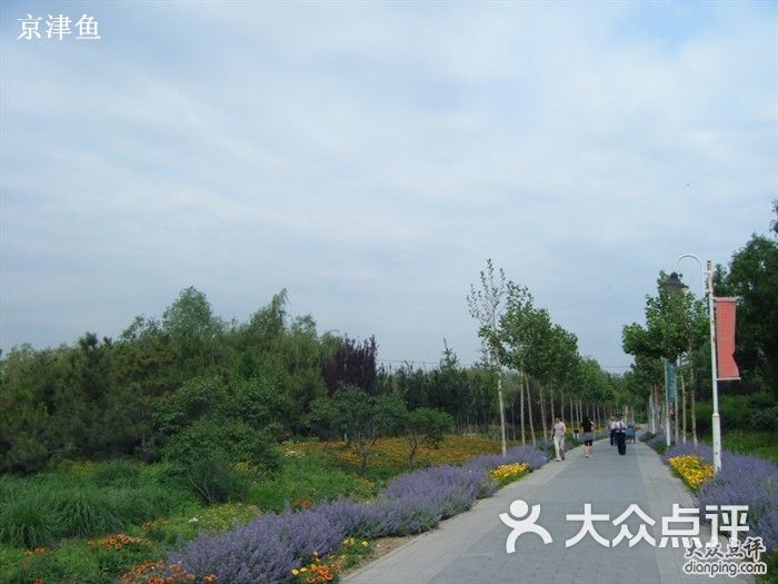 东升八家郊野公园-游览主路图片-北京周边游-大众点评