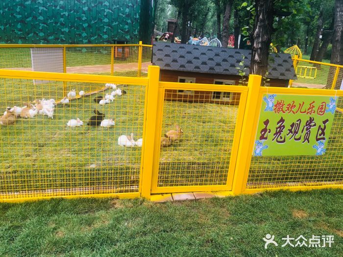 撒欢儿乐园图片