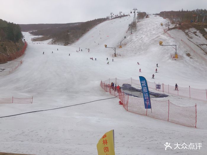哈尔滨旅游纯玩！哈尔滨五日含纯玩无购物驴友分享实用哈尔滨旅游攻华体会- 华体会体育官方网站- 华体会体育APP下载略经典图文版