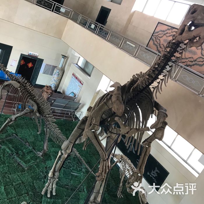 天宇自然博物馆