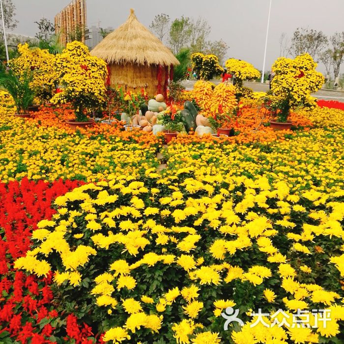 西安植物园新区图片 - 第4张