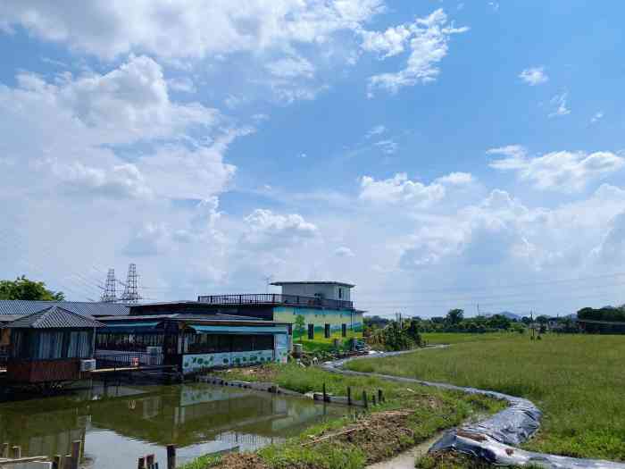 生鱼洲恒和休闲农庄-"下午坐轮到去大吉沙岛看日落,从乌沙码头乘.