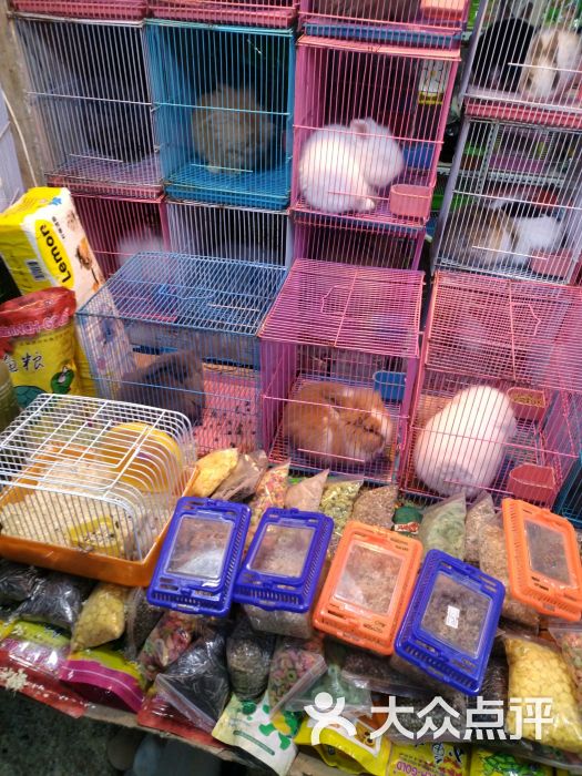 万商花鸟市场(西藏南路店)图片 - 第4张