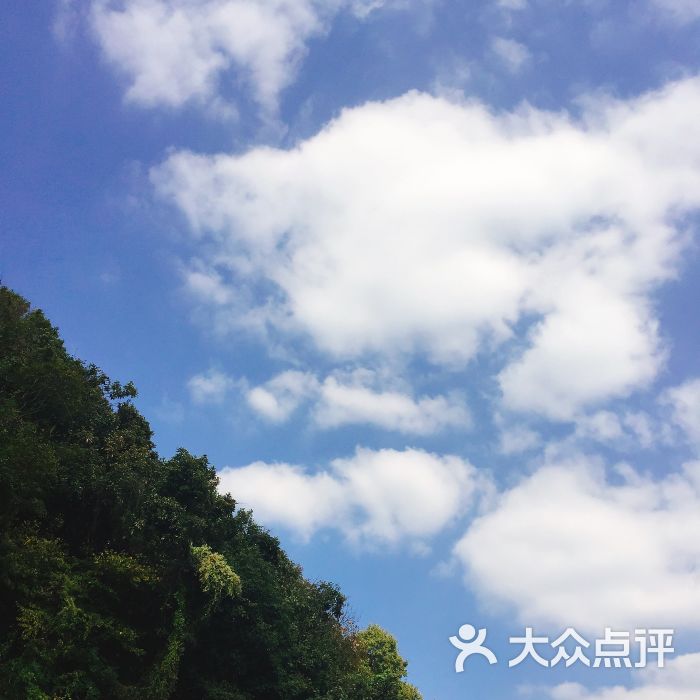 云淡风轻luck上传的图片