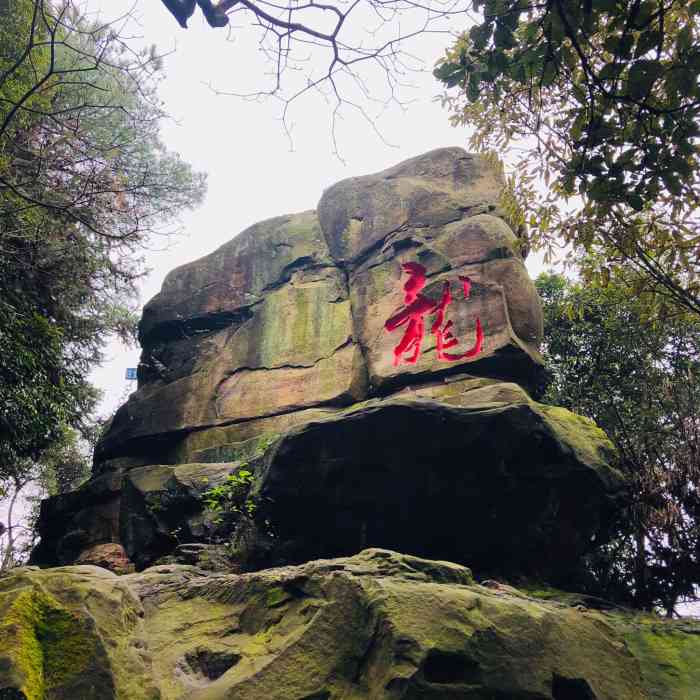 天灯石景区-"铜梁巴岳山上面农家乐很多,适合遛娃吸氧