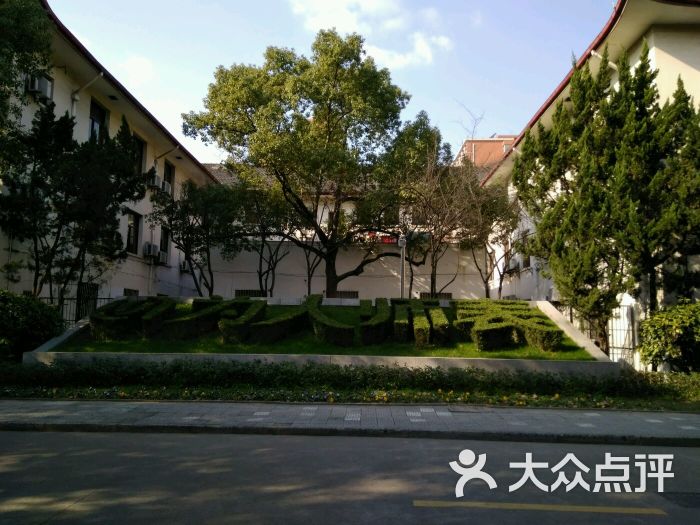 上海师范大学(徐汇校区)草坪图片 第9张