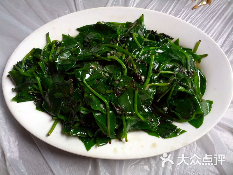 顺和园炒野菜图片 第7张