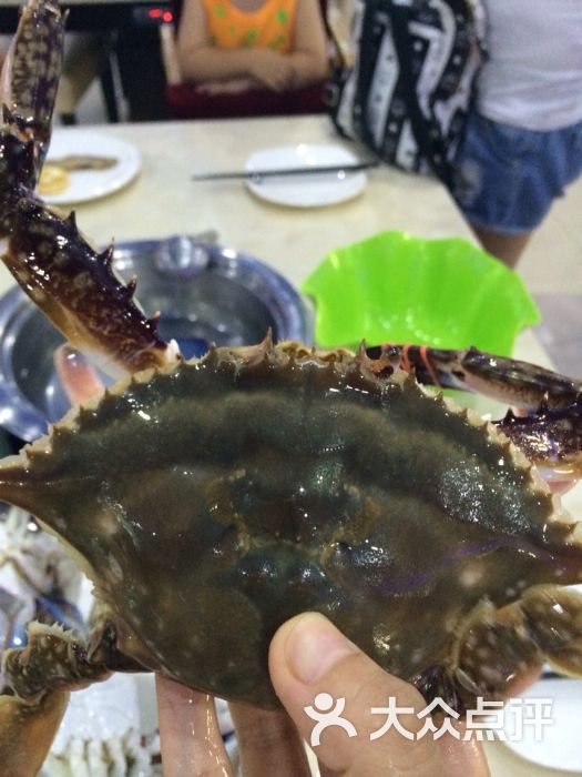 金鱼简笔画_海鲜自助餐厅设计图_金鱼童海鲜自助预订(2)