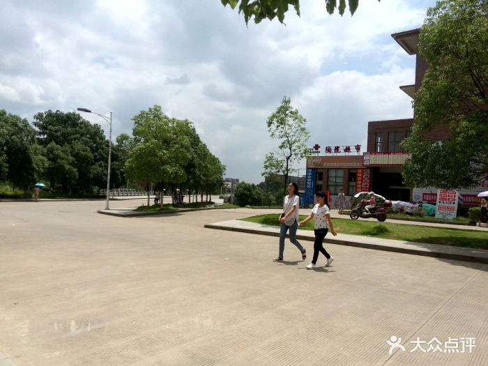 景德镇陶瓷大学(湘湖校区)图片 - 第17张