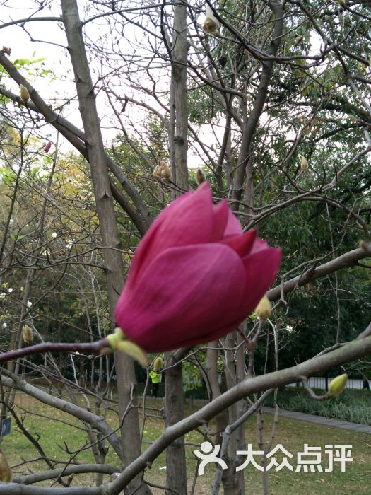 烈士陵园花卉馆