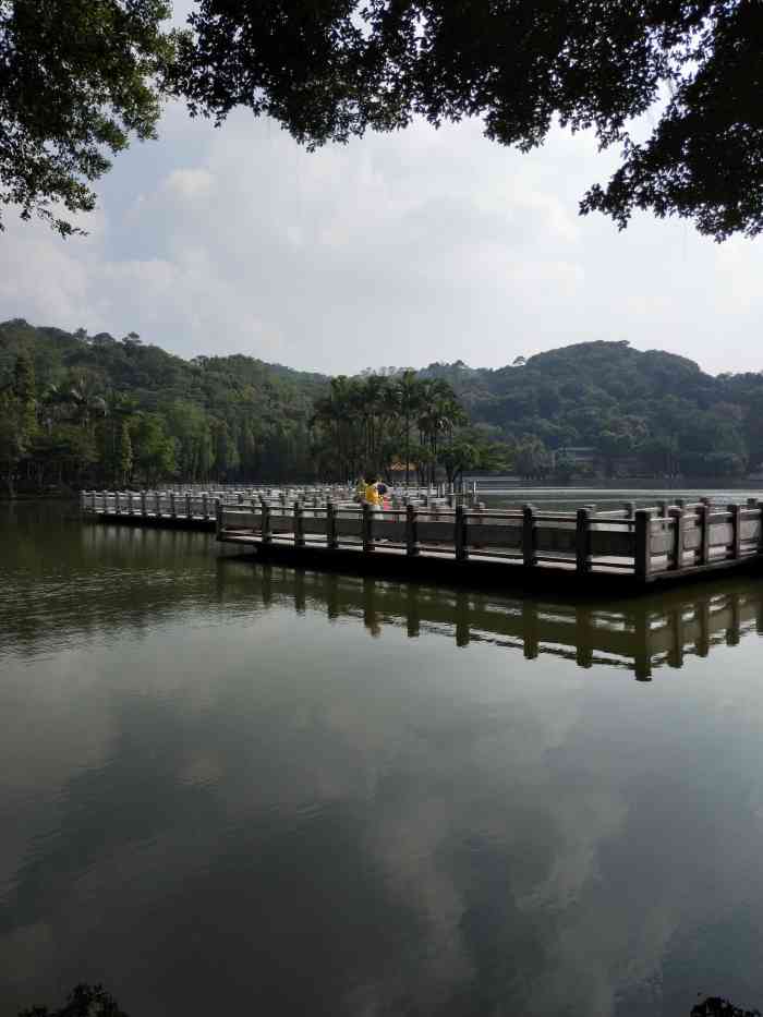 天湖公园-"西樵山山顶的天湖原来是一个火山口."-大众点评移动版