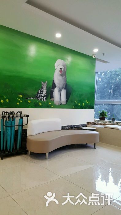 美联众合动物医院转诊中心-图片-北京宠物