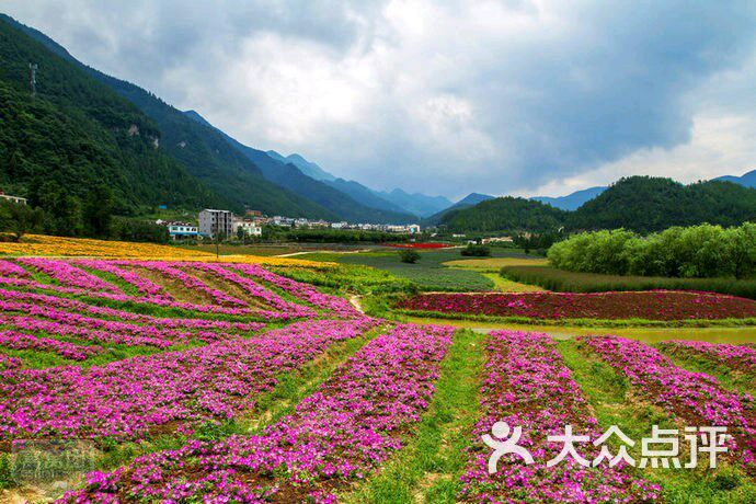 大木花谷-图片-涪陵区周边游-大众点评网