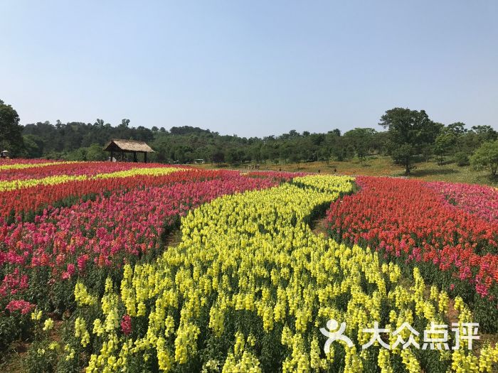 万紫千红植物园图片 - 第3张