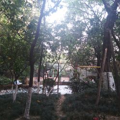 【桐梓林欧城】电话_地址_价格_营业时间_桐