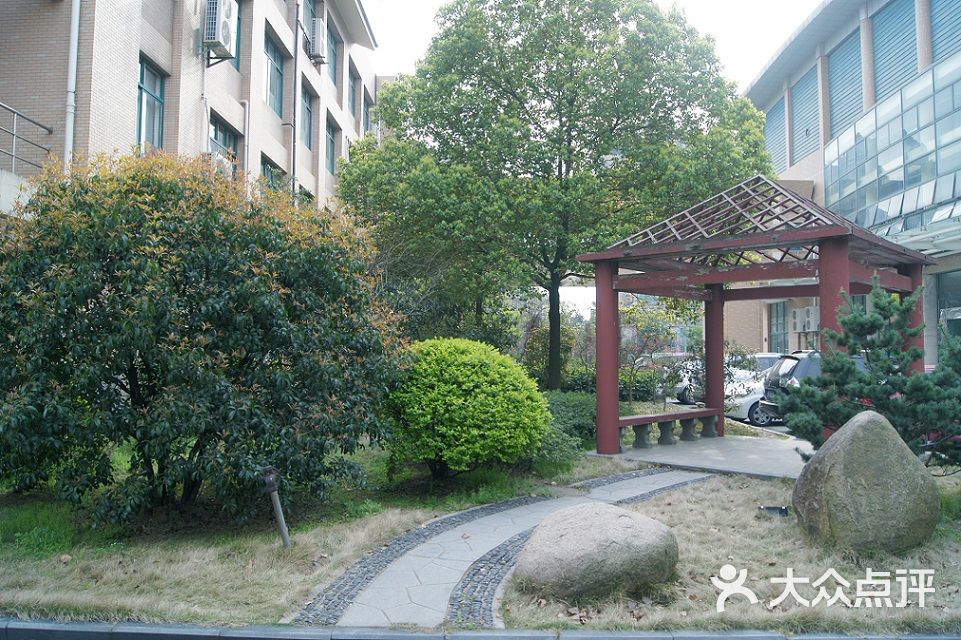 杭州市西湖小学教育图片文新小学-集团-杭州学小学生抄报一氧化碳v图片手预防简单图片