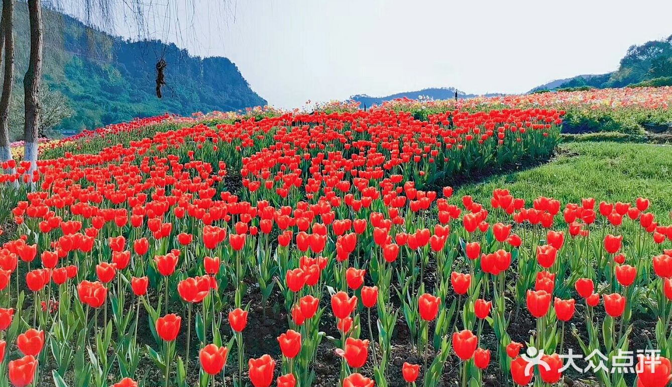 花田酒地景区位于泸州市纳溪区大渡口镇