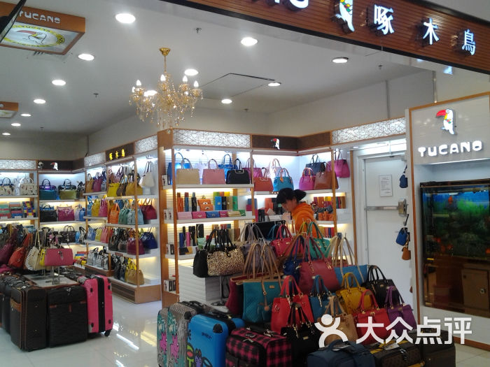啄木鸟(丁豪广场店)门面图片 - 第1张