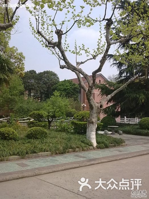 华东理工大学(徐汇校区)-校园图片-上海教育培