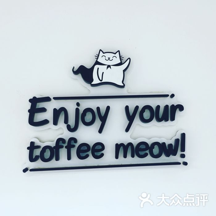 toffee meow奶糖猫