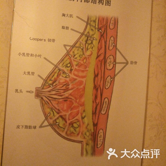 意悠朵国际美胸丰胸机构图片-北京美胸丰胸-大众点评网