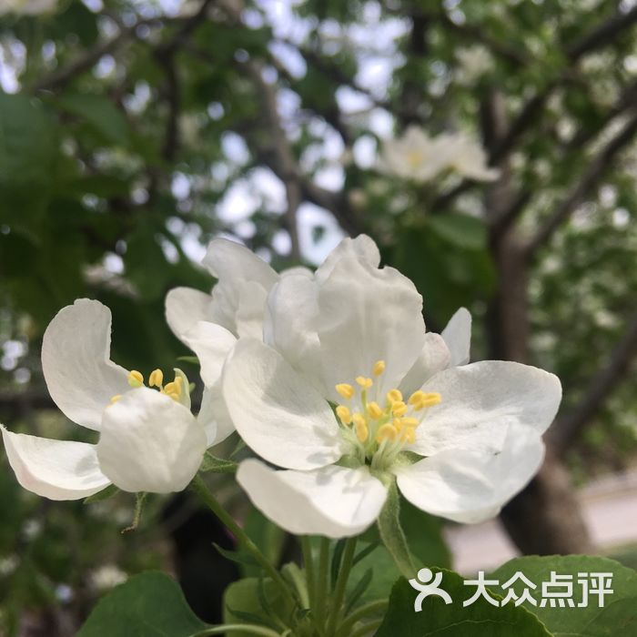 梆梆酱紫           悠然自得_7080           梆梆酱紫