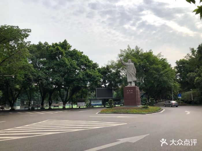 重庆大学(b区)图片 - 第7张