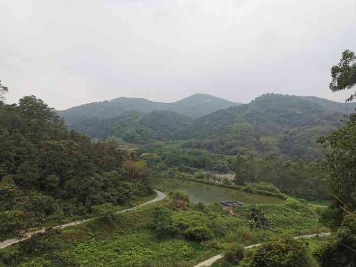 黄埔油麻山森林公园"补发,补发,去了之后一直没时间整理.没.