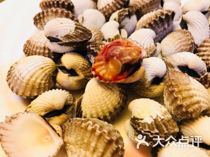 温州洞头海鲜城银蚶图片 - 第2张