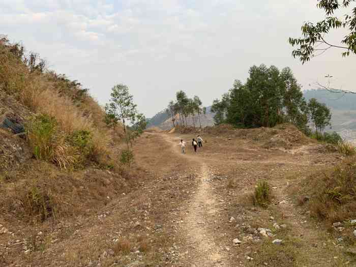 黄埔区网红拍摄景点油麻山森林公园