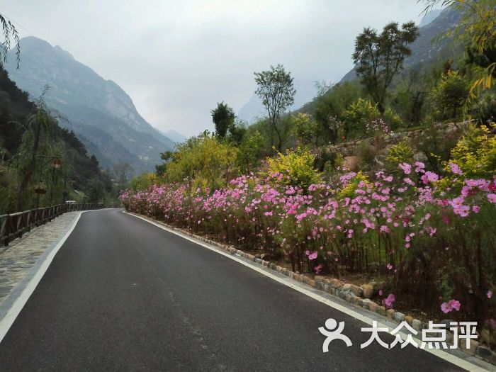 漫山花溪谷景区图片 - 第1张