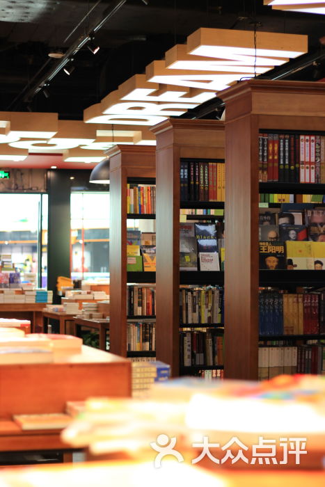 貓頭鷹之城書店