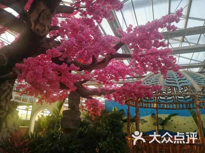 元宝山和润嘉年华图片 第3张