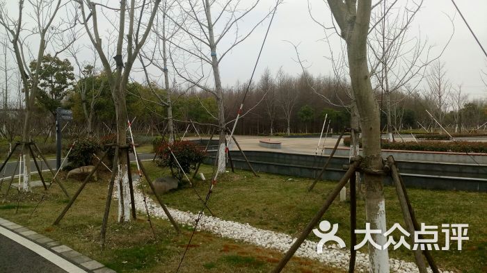 康桥生态园沔青绿地图片 - 第103张