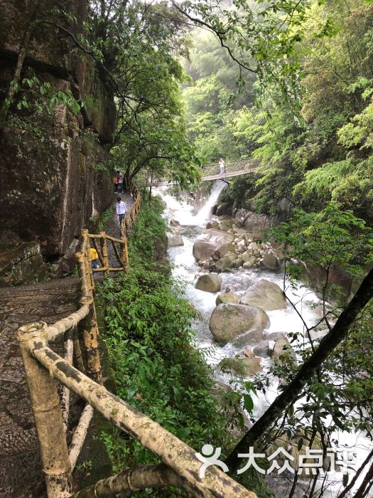 大鄣山卧龙谷景区图片 - 第5张