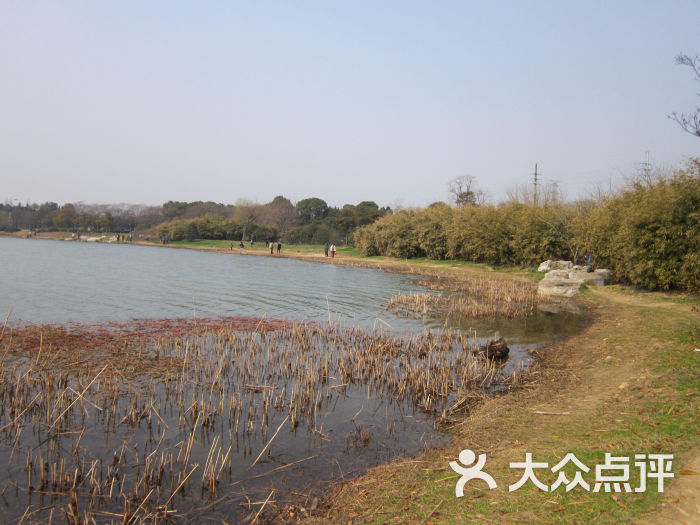 渤公岛生态公园-景点-环境-景点图片-无锡周边游-大众点评网