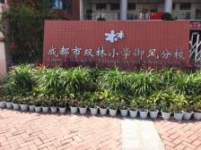 成都市双林小学(御风分校"御风分校脱胎于五桂桥小学,现在更换了