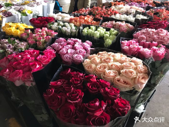 斗南花市图片 - 第3张
