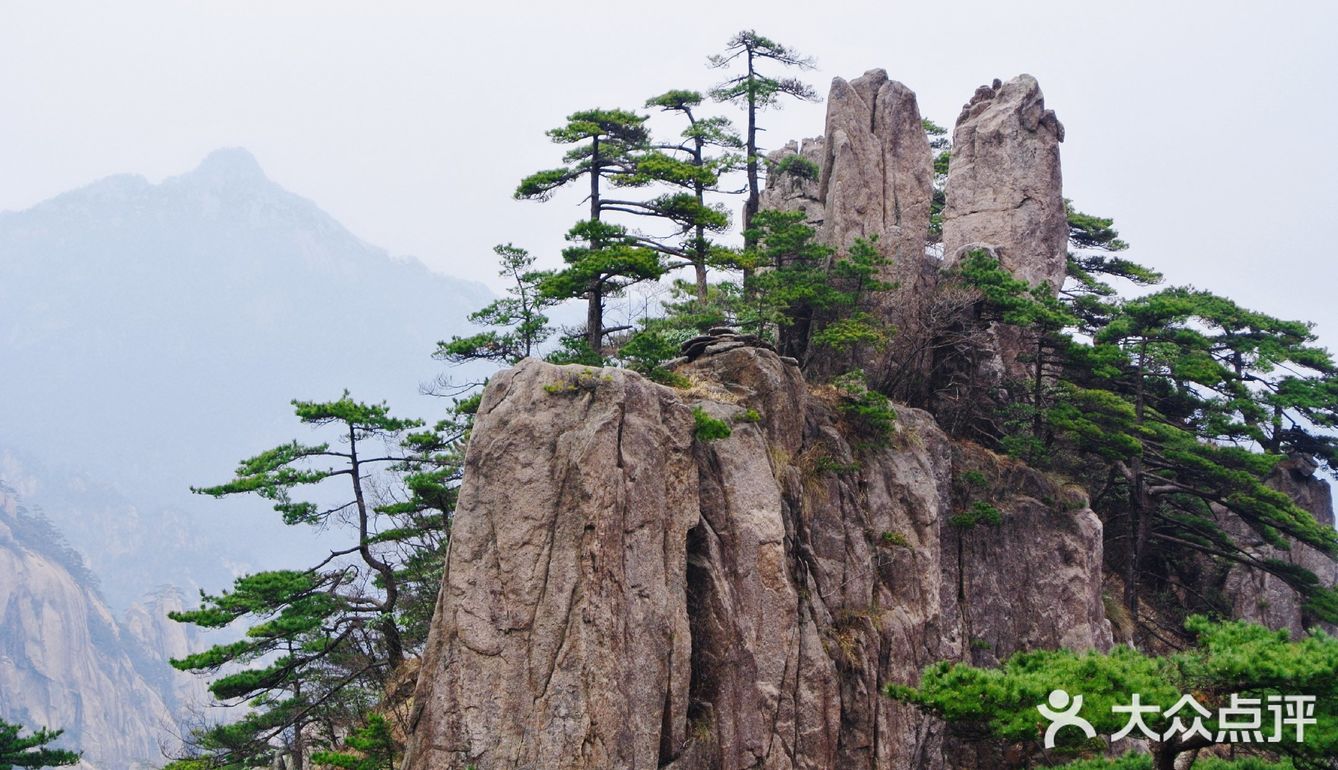 奇松怪石哪家绝?中国安徽找黄山