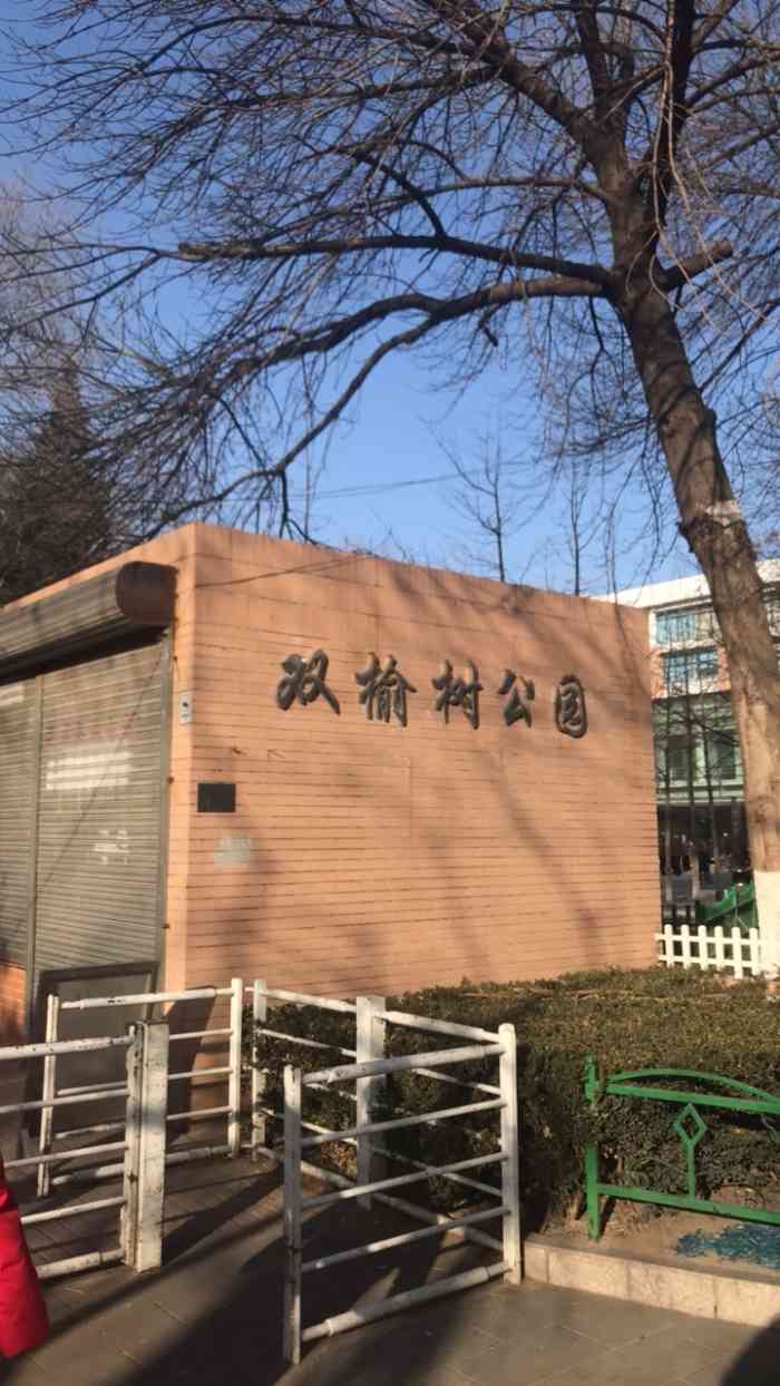 双榆树网站优化 大众点评