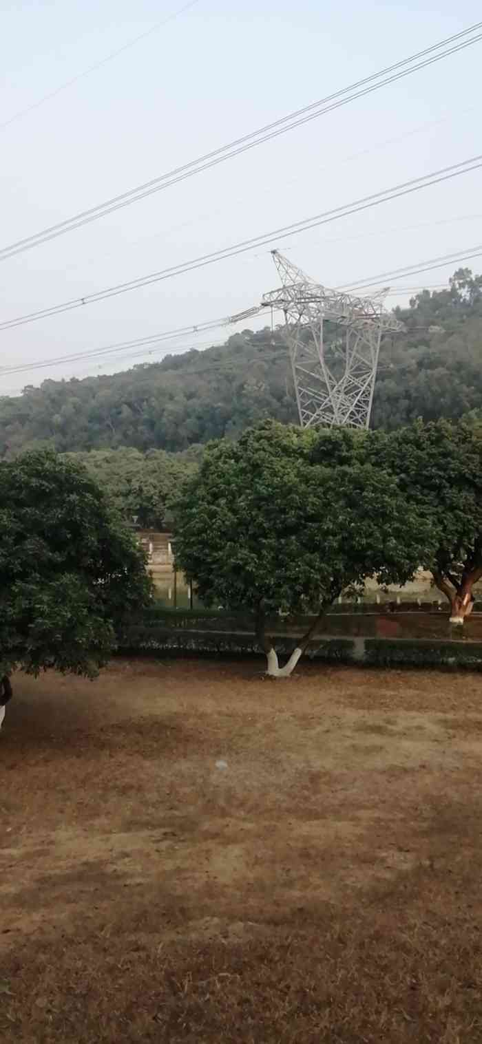 南栅象山公园-"在家呆了太久了,出来象山公园溜达一下.象.