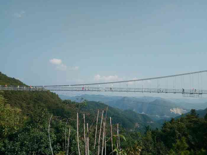 洛江虹山樱梅园景区-"讲真的,所有价位不管是单买还是