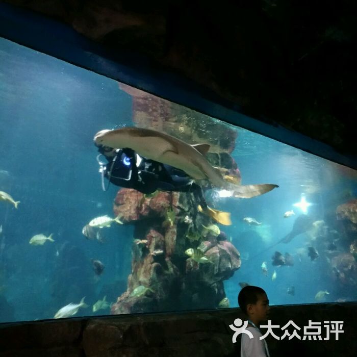 蠡湖中央公园海底世界