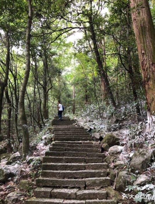 西天目山风景区图片 - 第3张