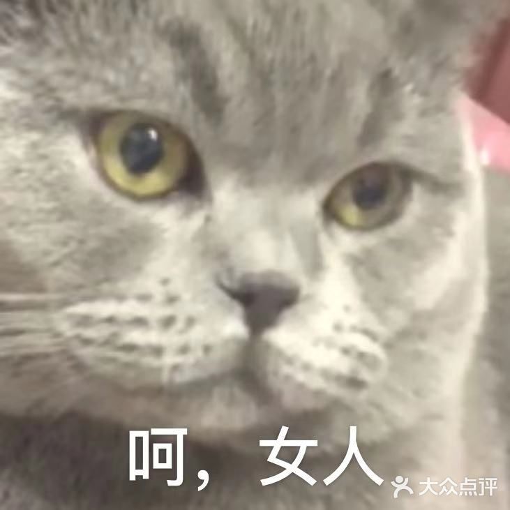 八喜的表情包,尤其是暗中观察,逗死我了