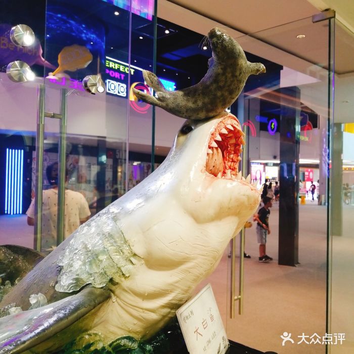 大悦城的快闪店,路过就被精美的宝丽石雕塑.